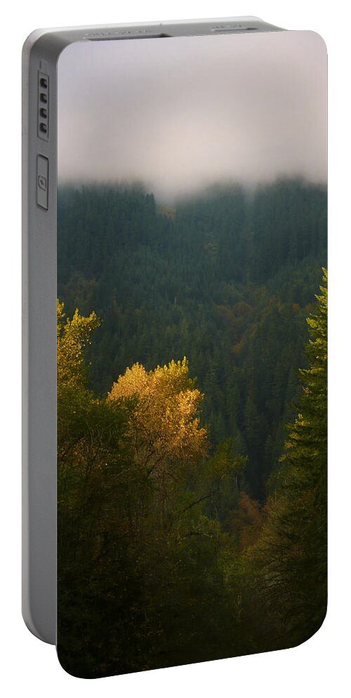 Tree Portable Battery Charger featuring the photograph Golden Light by Priya Ghose