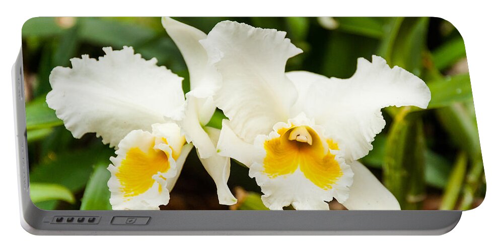 Flowers Portable Battery Charger featuring the photograph Golden Lilly by Charles McCleanon