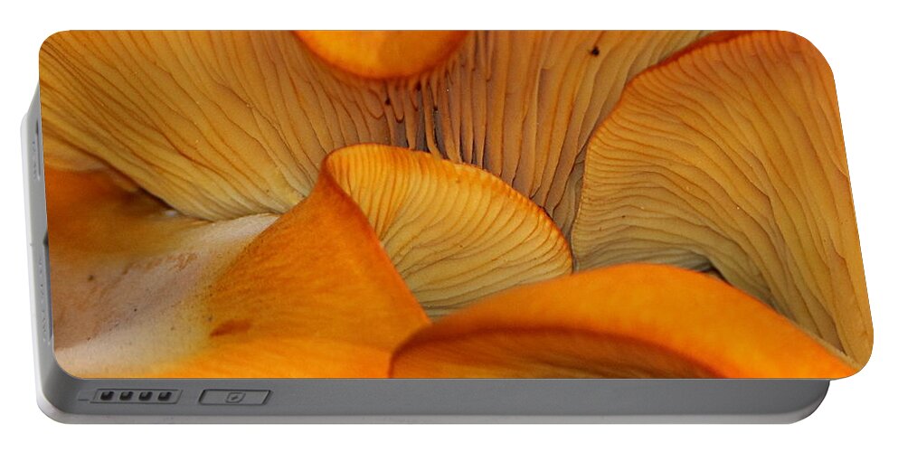 Nature Portable Battery Charger featuring the photograph Golden Mushroom Abstract by Sheila Brown