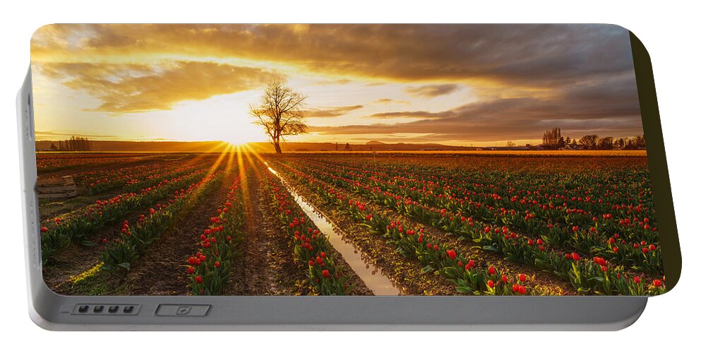 Tulip Fields Portable Battery Charger featuring the photograph Golden Skagit Valley Sunset by Mike Reid