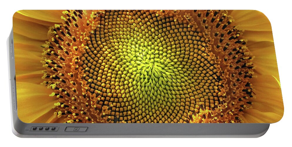 Sunflower Portable Battery Charger featuring the photograph Golden Spiral Seed Arrangement by Daliana Pacuraru