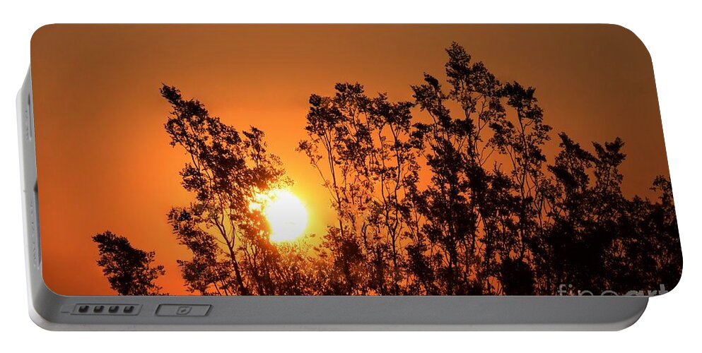 Golden Morning Portable Battery Charger featuring the photograph Golden Sunrise by Angela J Wright