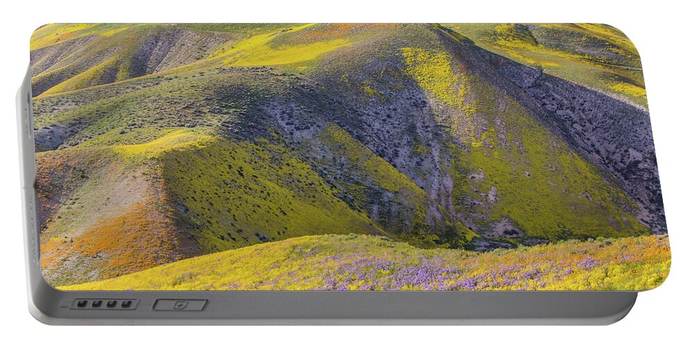 California Portable Battery Charger featuring the photograph Goldfields and Colorful Hills by Marc Crumpler