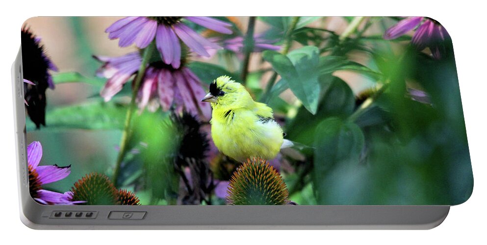 Birds Portable Battery Charger featuring the photograph Goldfinch on Coneflowers by Trina Ansel