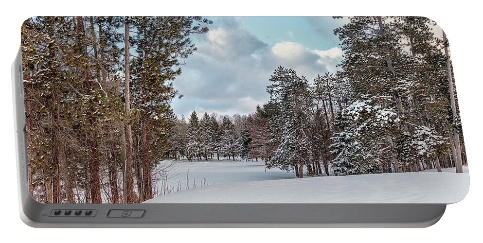 Winter Portable Battery Charger featuring the photograph Golf Anyone by Rod Best