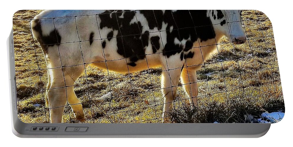 Cow Portable Battery Charger featuring the photograph Good Morning by Jim Harris
