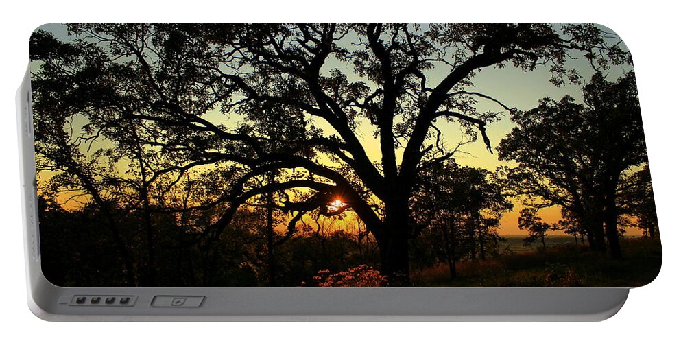 Sun Portable Battery Charger featuring the photograph Good Night Tree by Viviana Nadowski
