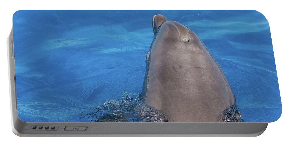 Dolphin Portable Battery Charger featuring the photograph Goodbye Nellie by Paul Rebmann