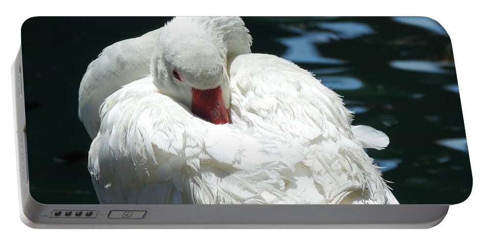 Anatidae Portable Battery Charger featuring the photograph Goose Feather Siesta by Bill Tomsa