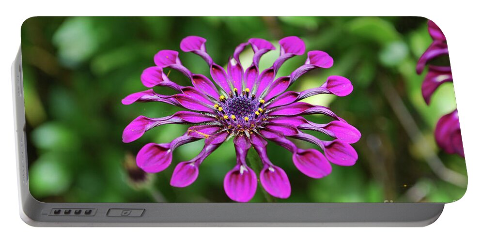 Tropical-flower Portable Battery Charger featuring the photograph Gorgeous Flowering Tropical Flower in a Garden by DejaVu Designs