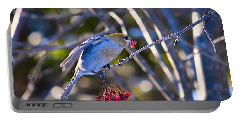 Bird Portable Battery Charger featuring the photograph Got One by Hella Buchheim