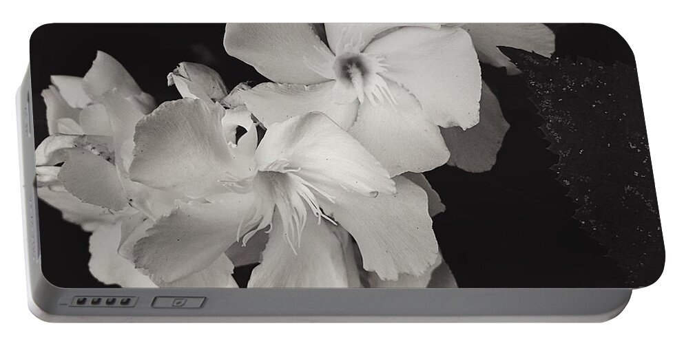 Flower Portable Battery Charger featuring the photograph Grace in White by Brad Hodges