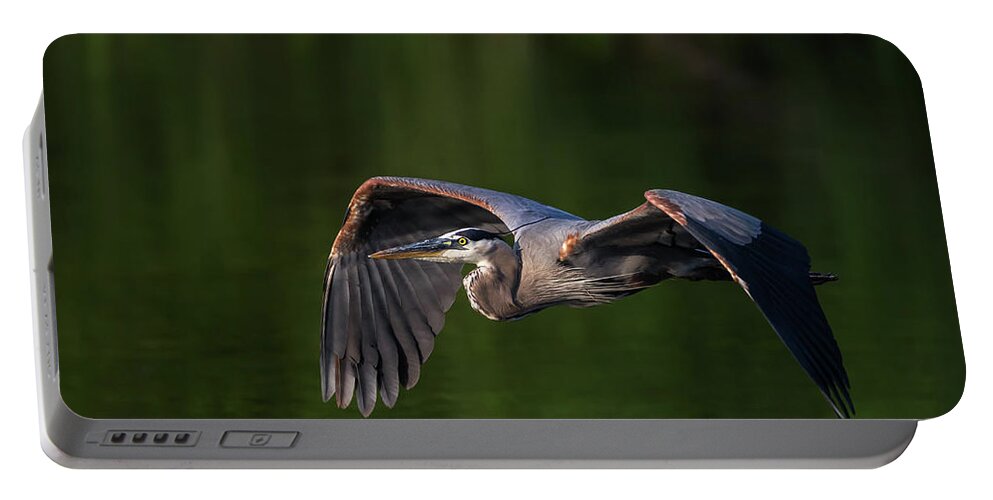 Great Portable Battery Charger featuring the photograph Graceful Flight by Everet Regal