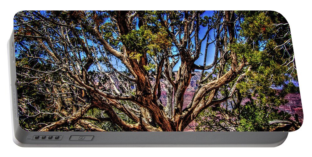 Arizona Portable Battery Charger featuring the photograph Grand Canyon Views No. 6 by Roger Passman