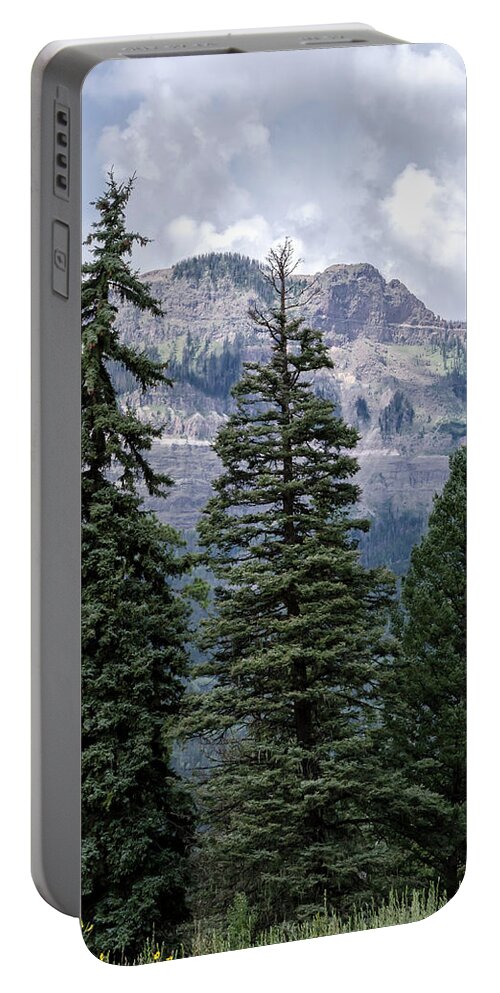 Trees Portable Battery Charger featuring the photograph Grand Mesa Forest by Jaime Mercado