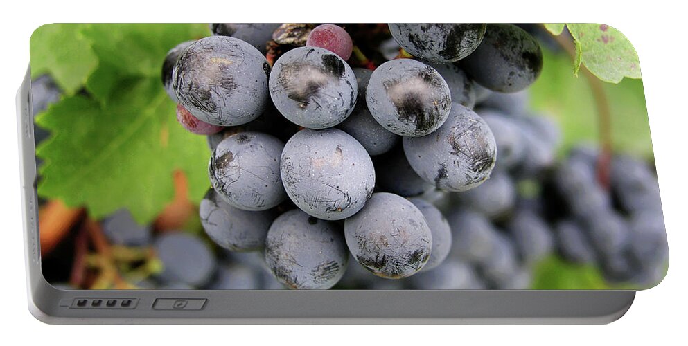 Wine Portable Battery Charger featuring the photograph Grapes on the Vine by Mary Capriole
