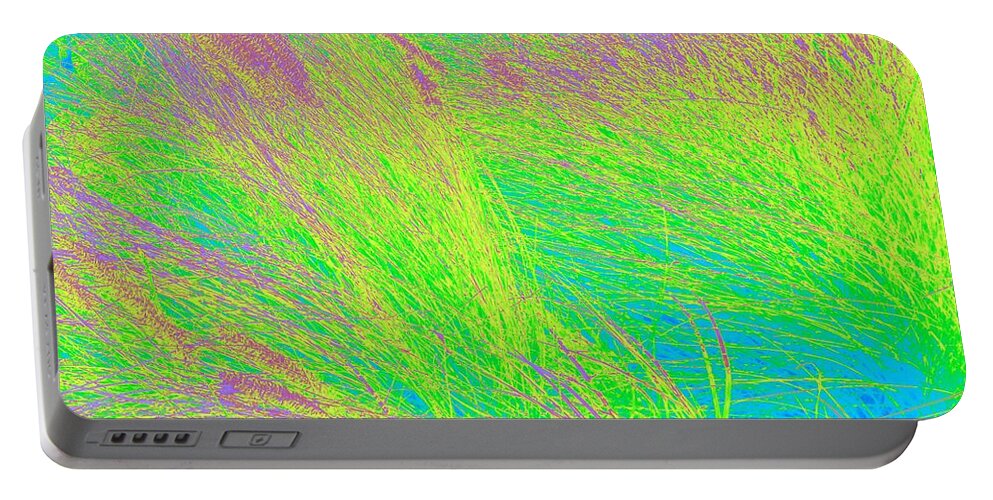  Portable Battery Charger featuring the photograph Grass Abstract 2 by Donna Spadola