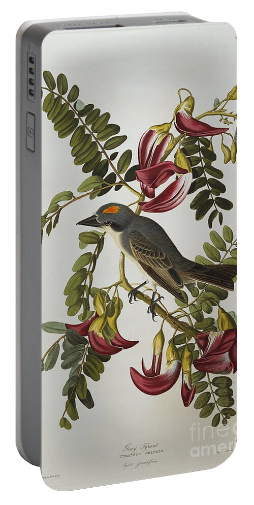Gray Tyrant. Gray Kingbird Tyrannus Dominicensis From The Birds Of America By John James Audubon Portable Battery Charger featuring the painting Gray Tyrant by John James Audubon