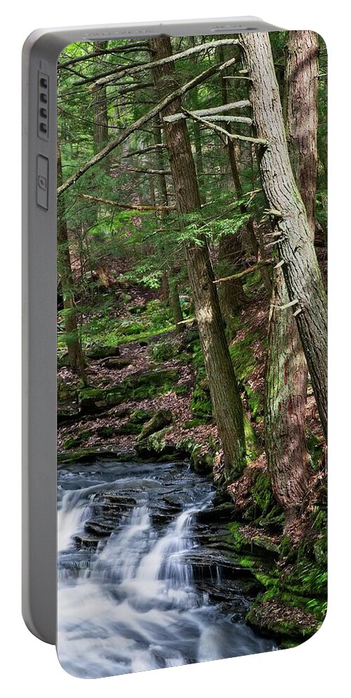 Waterfall Portable Battery Charger featuring the photograph Grayville Falls Study Vertical by Allan Van Gasbeck