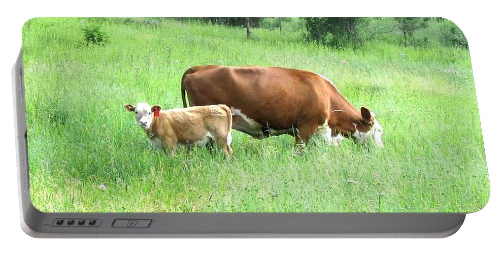Cow Portable Battery Charger featuring the photograph Grazing Cow And Calf by Will Borden