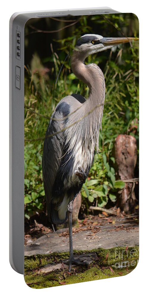 Great Blue Heron 16-02 Portable Battery Charger featuring the photograph Great Blue Heron 16-02 by Maria Urso