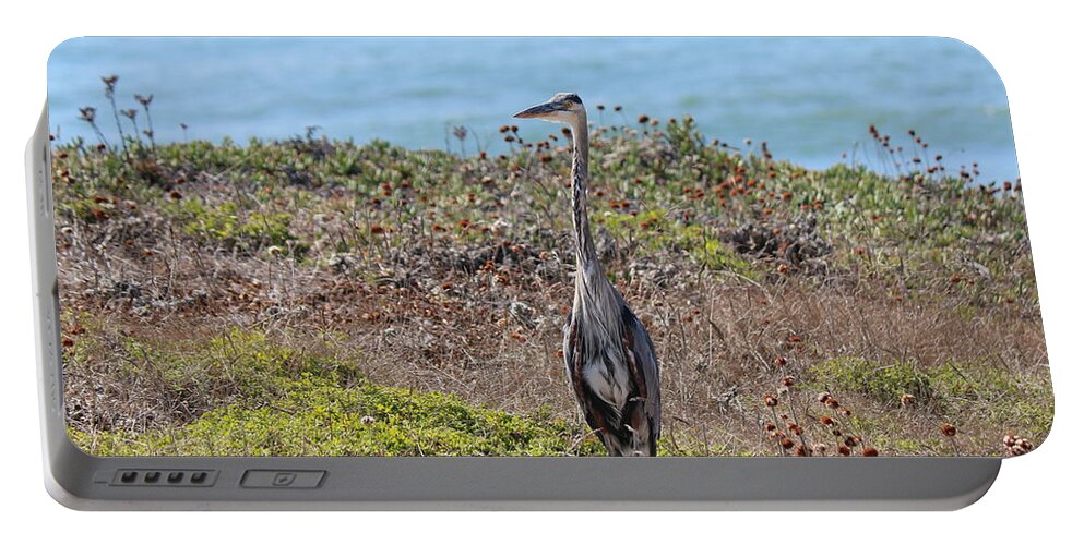 Great Blue Heron Portable Battery Charger featuring the photograph Great Blue Heron - 9 by Christy Pooschke