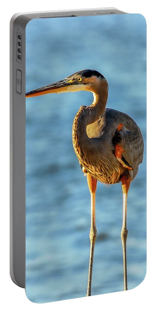 Ardea Herodias Portable Battery Charger featuring the photograph Great Blue Heron Closeup by Patrick Wolf