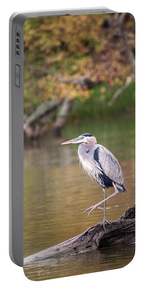 Bird Portable Battery Charger featuring the photograph Great Blue Heron by Don Johnson