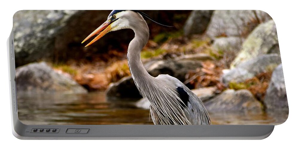 Wildlife Portable Battery Charger featuring the photograph Great Blue Heron by Monika Salvan