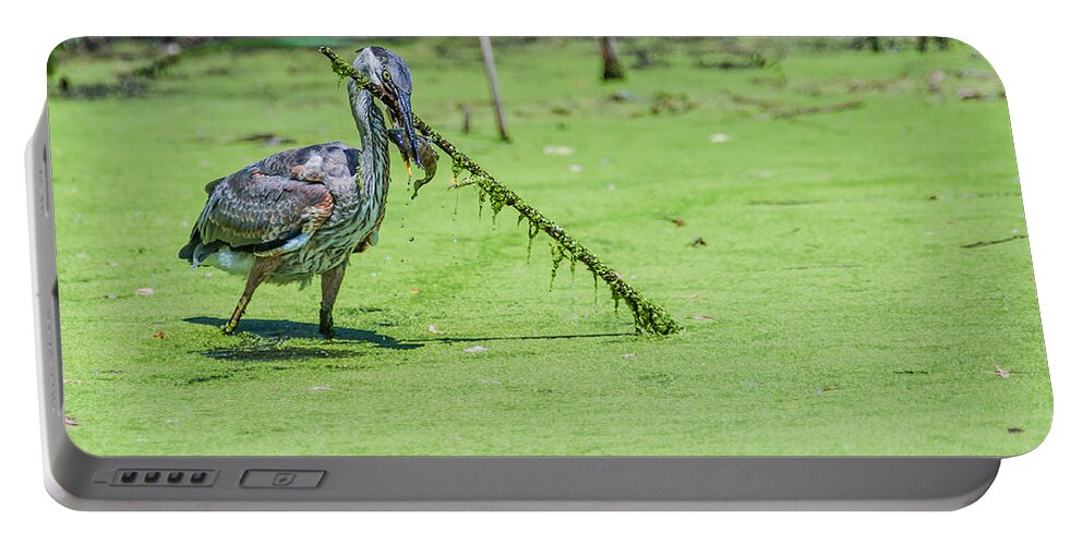 Great Blue Heron Portable Battery Charger featuring the photograph Great Blue Heron Mouthful by Ed Peterson