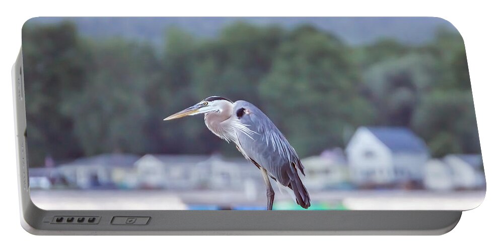 Great Blue Heron Portable Battery Charger featuring the photograph Great Blue Heron on Keuka Lake Horizontal Pano by Photographic Arts And Design Studio