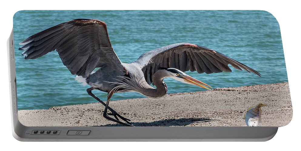 Bird Portable Battery Charger featuring the photograph Great Blue Heron Plays with Fish #1 by Patti Deters