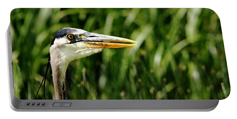 Heron Portable Battery Charger featuring the photograph Great Blue Heron Portrait by Debbie Oppermann