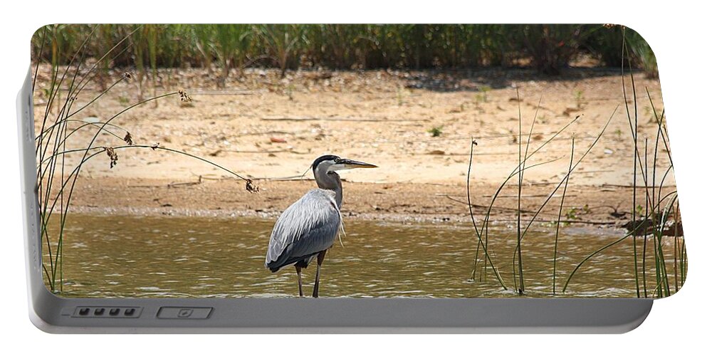 Nature Portable Battery Charger featuring the photograph Great Blue Heron Wading by Sheila Brown