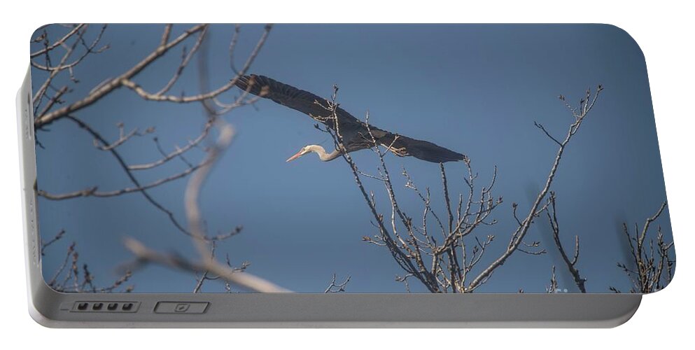 Great Blue Heron Portable Battery Charger featuring the photograph Great Blue in flight by David Bearden