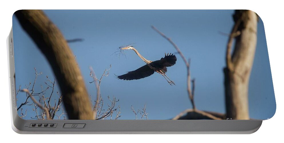 Nest Making Portable Battery Charger featuring the photograph Great Blues Nesting by David Bearden