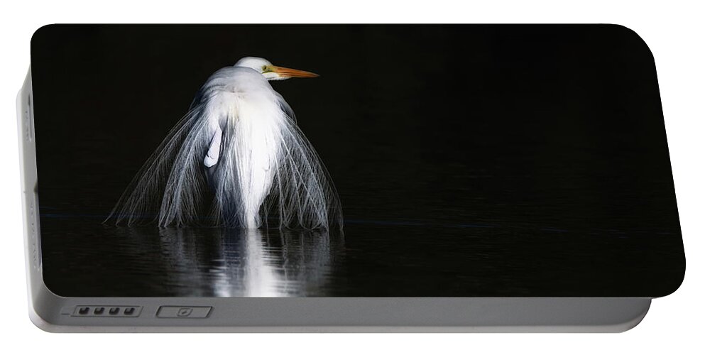 Great Portable Battery Charger featuring the photograph Great Egret 1035-010518-1cr by Tam Ryan