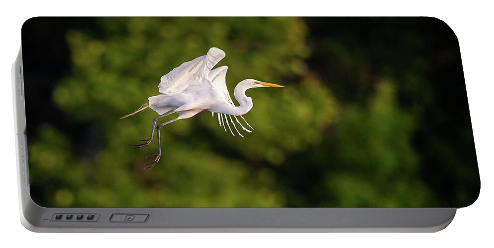 Great Egret (ardea Alba) Portable Battery Charger featuring the photograph Great Egret 3176 by Jeff Phillippi