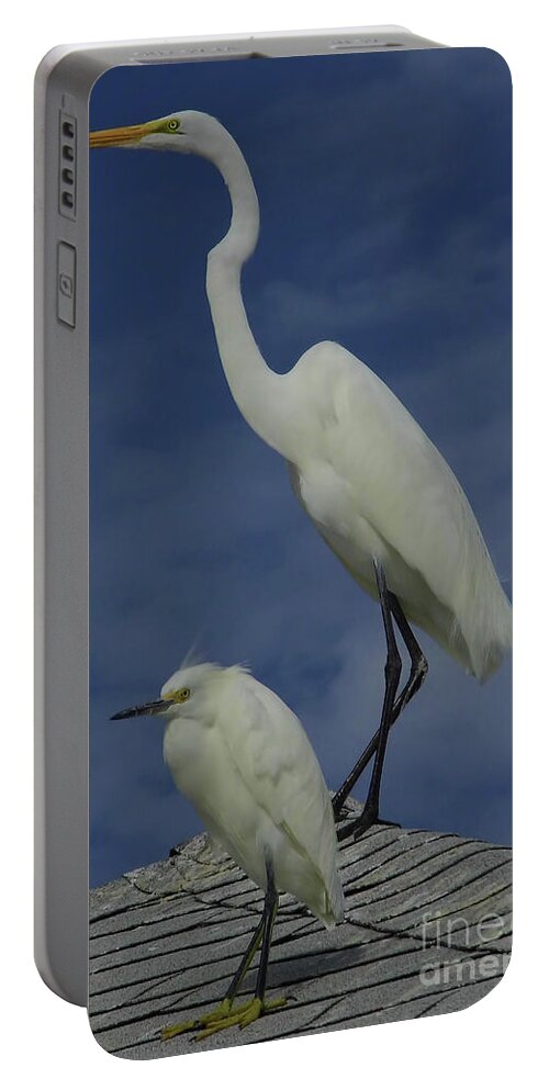 Great Egret Portable Battery Charger featuring the photograph Great Egret and Snowy Egret by D Hackett