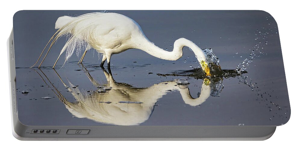 Egrets Portable Battery Charger featuring the photograph Great Egret Diving For Lunch by DB Hayes