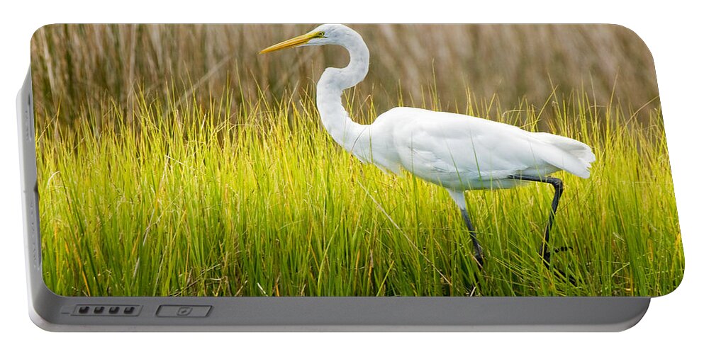 Egret Portable Battery Charger featuring the photograph Great Egret in Cedar Point Marsh by Bob Decker