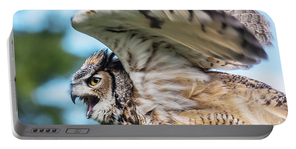 Great Horned Owl Portable Battery Charger featuring the photograph Great Horned Owl-2486 by Steve Somerville