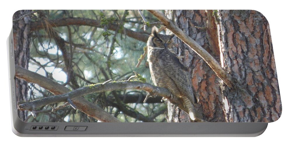 Great Horned Owl Portable Battery Charger featuring the photograph Great Horned Owl in a tree by Charles Robinson
