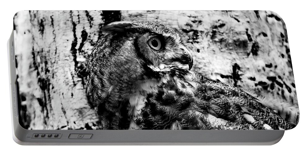 Great Horned Owl In Black And White Portable Battery Charger featuring the photograph Great Horned Owl in Black and White by Tracy Winter
