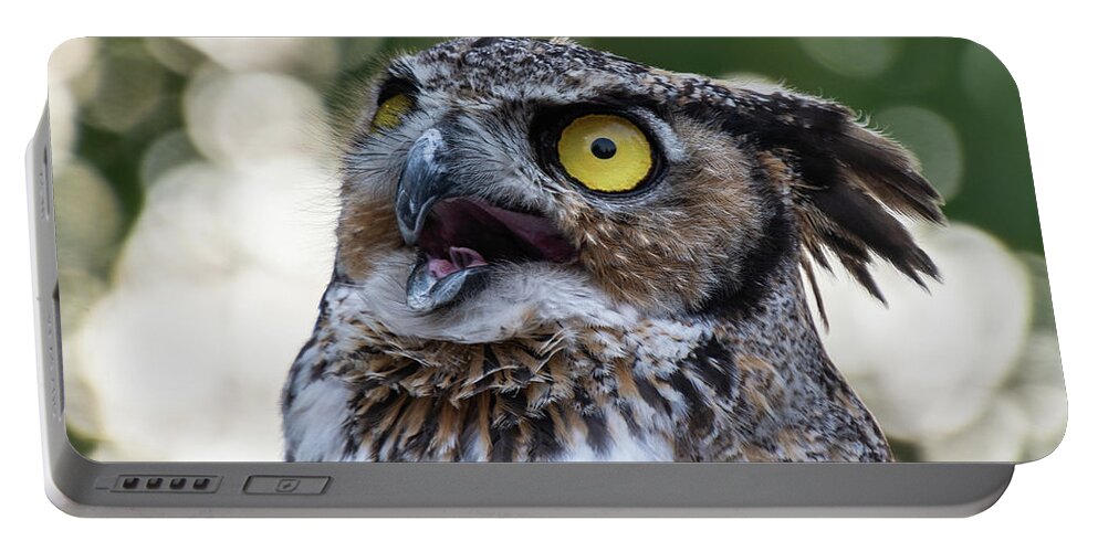 Great Horned Owl Portable Battery Charger featuring the photograph Great Horned Owl Portrait by Stephen Johnson