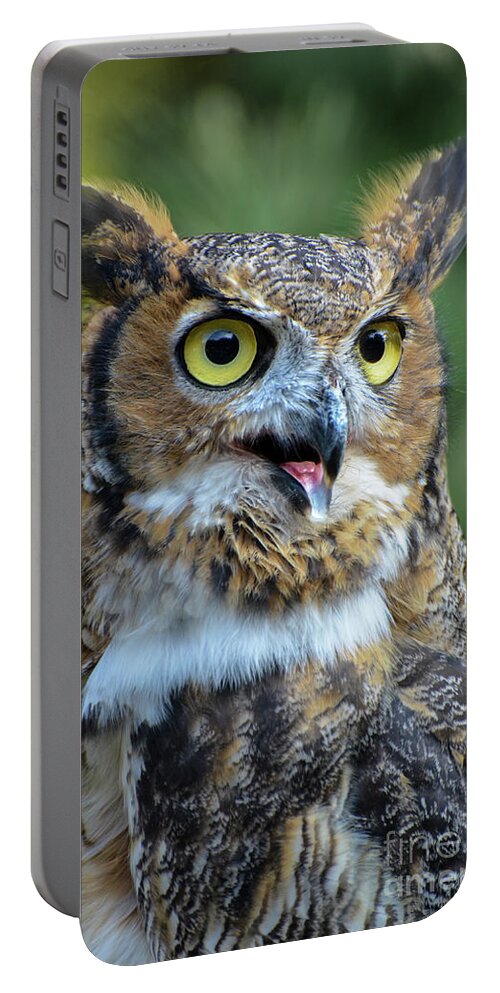 Great Horned Owl Portable Battery Charger featuring the photograph Great Horned Owl Smiling by Amy Porter