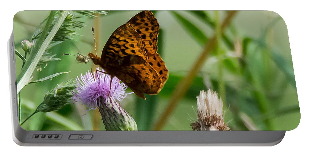 Great Spangled Fritillary Portable Battery Charger featuring the photograph Great Spangled Fritillary by Holden The Moment