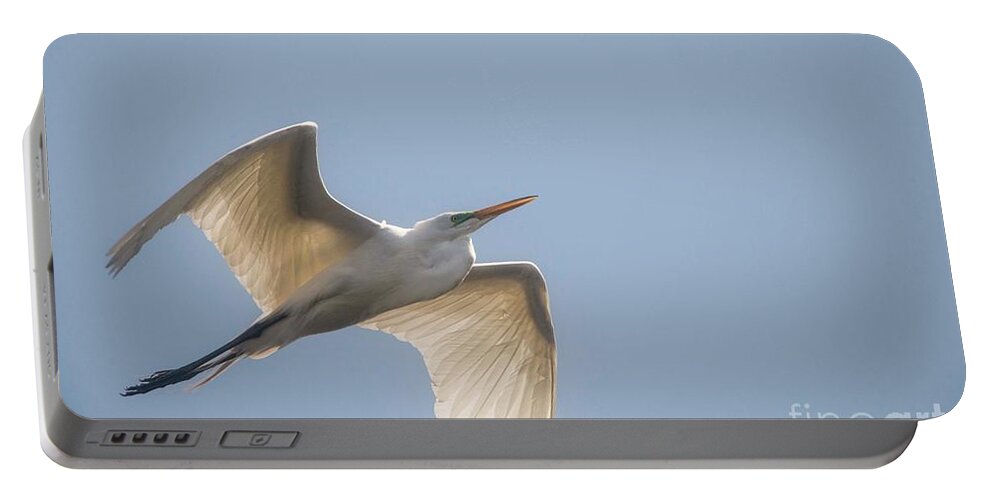 Egret Portable Battery Charger featuring the photograph Great White Egret - 2 by David Bearden
