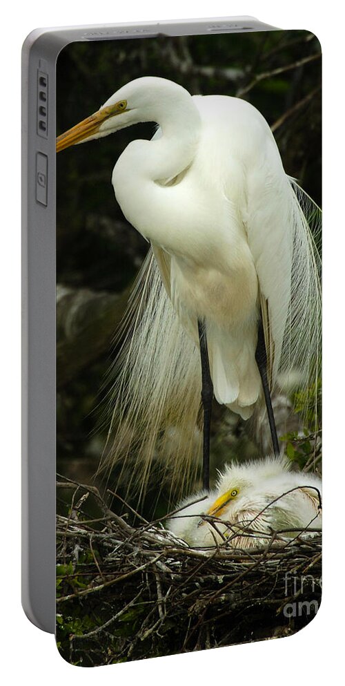 Majestic Great Egret Portable Battery Charger featuring the photograph Majestic Great White Egret High Island Texas 3 by Bob Christopher