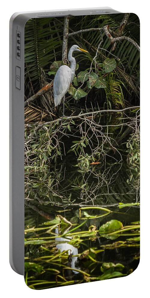Great White Egret Portable Battery Charger featuring the photograph Great White Egret on a Branch by Belinda Greb